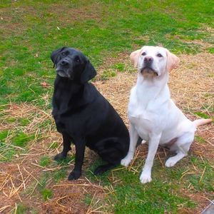 Meet your Posher, Brian